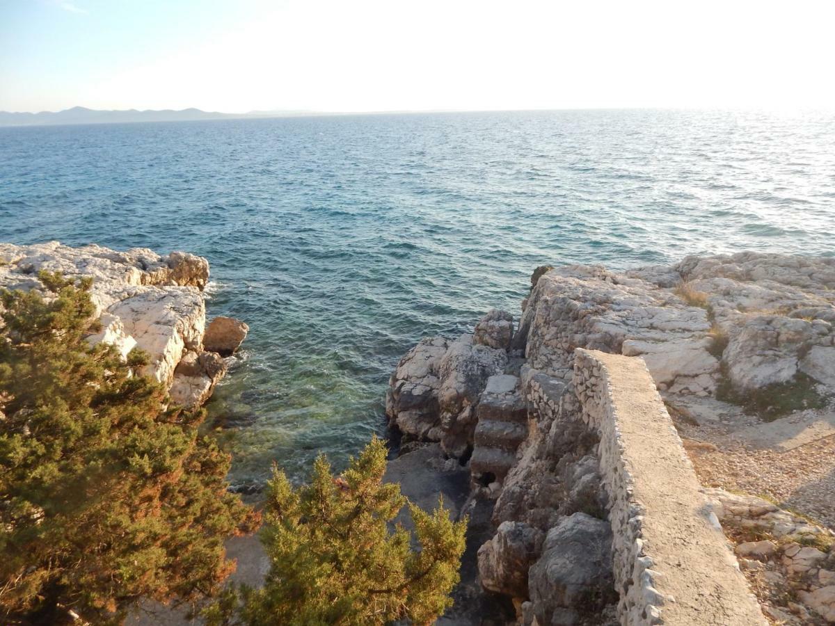 Apartman Duje Petrčane Dış mekan fotoğraf